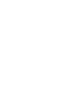 Icon of a light bulb connection