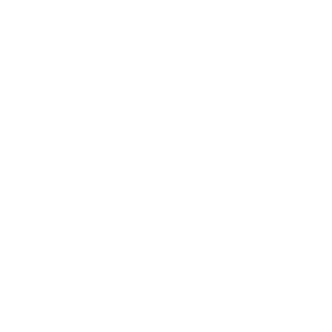 Icon of zoom meeting on a laptop